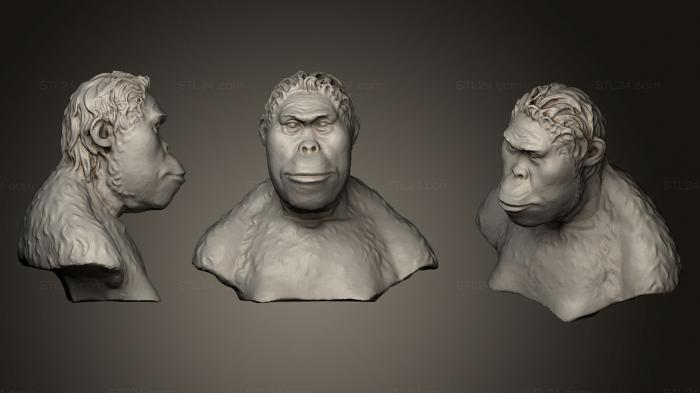 Бюсты и головы античные и исторические (Неизвестный мужчина 19, BUSTA_0552) 3D модель для ЧПУ станка
